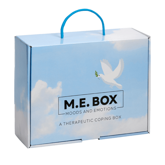 The M.E Box